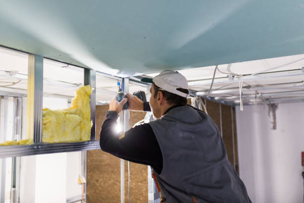 Best Insulation for Existing Homes  in Fremont, CA