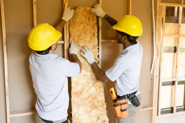 Best Eco-Friendly or Green Insulation Solutions  in Fremont, CA