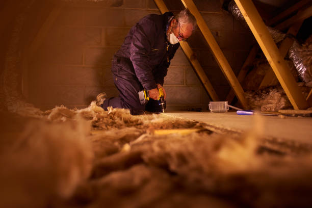 Best Attic Insulation Installation  in Fremont, CA